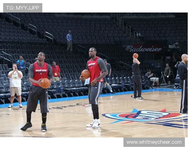 韦德体育官方网站最新资讯与全面攻略，助你轻松掌握赛事动态与投注技巧